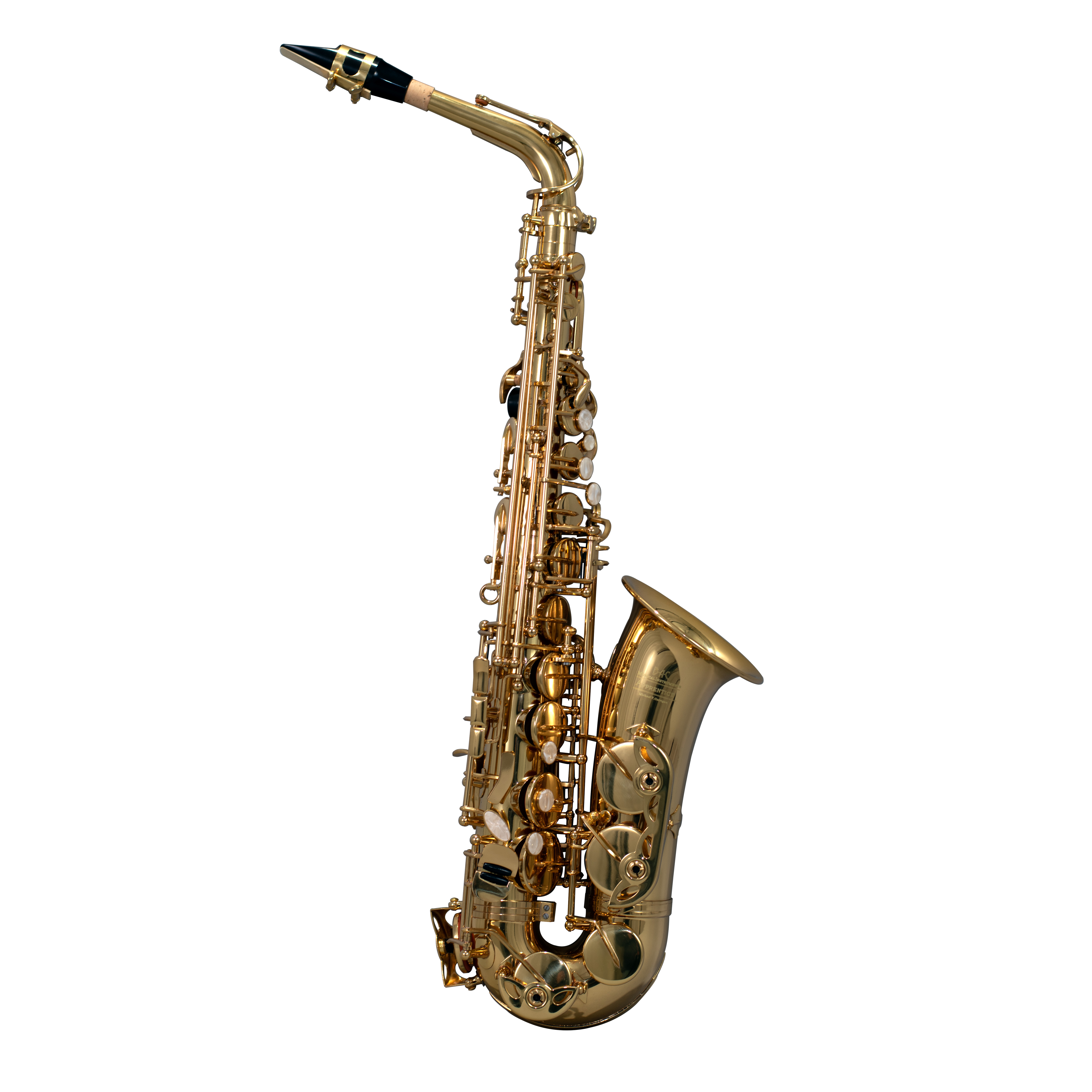 Rent a BAC Student Alto Saxophone
