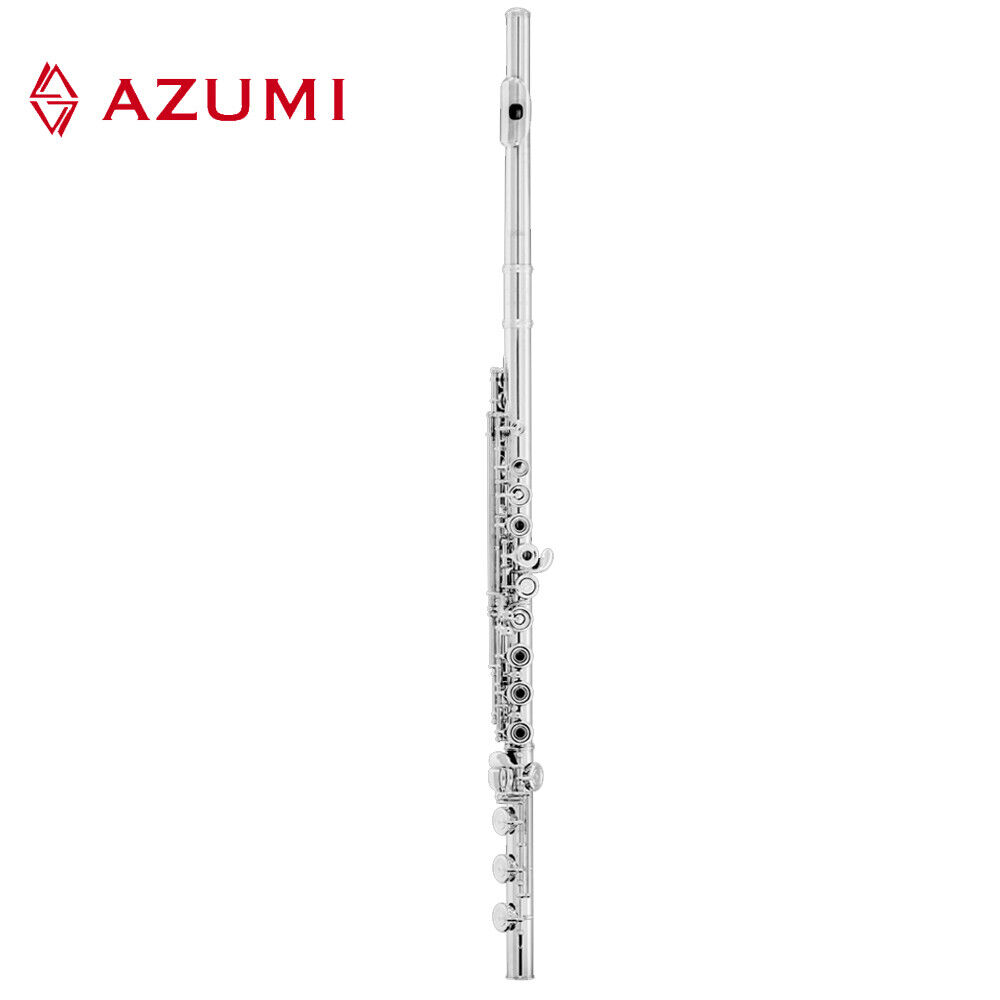 Rent a flute new arrivals