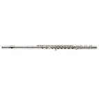 Azumi Altus Flute AZ1SRBEO with Split E