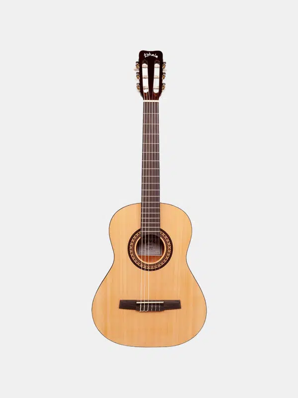 Acoustic Guitar