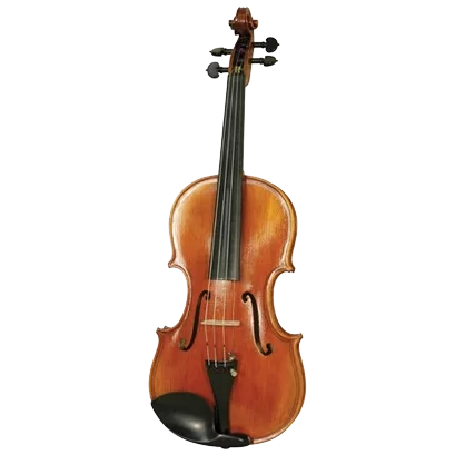 violin